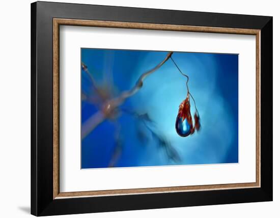 Big blue-Heidi Westum-Framed Photographic Print