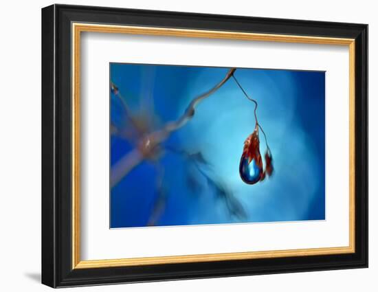 Big blue-Heidi Westum-Framed Photographic Print