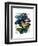 Big Bold Butterflies 2-Fab Funky-Framed Art Print