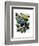 Big Bold Butterflies 6-Fab Funky-Framed Art Print