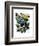 Big Bold Butterflies 6-Fab Funky-Framed Art Print