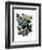 Big Bold Butterflies 6-Fab Funky-Framed Art Print