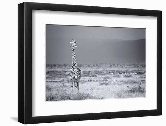 Big Boy-Mark Bridger-Framed Art Print