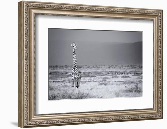 Big Boy-Mark Bridger-Framed Art Print