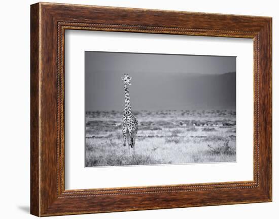 Big Boy-Mark Bridger-Framed Art Print