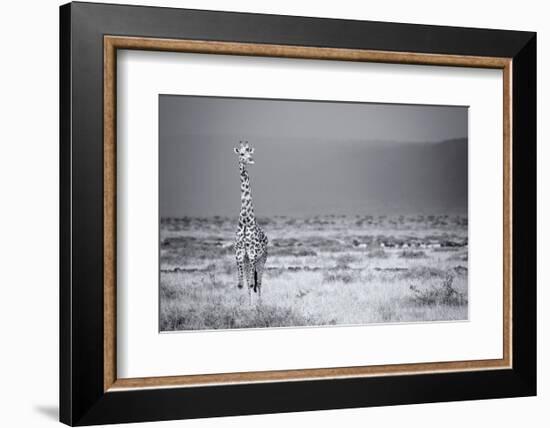 Big Boy-Mark Bridger-Framed Art Print