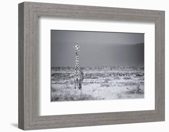 Big Boy-Mark Bridger-Framed Art Print