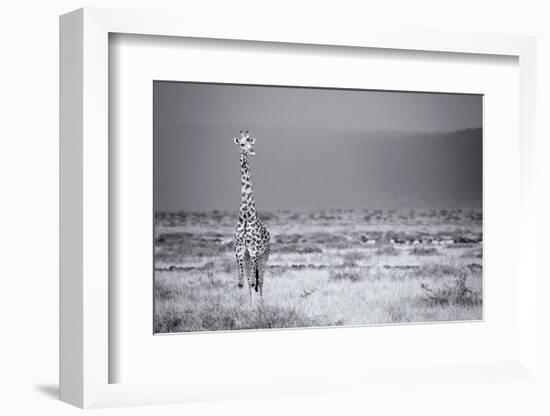 Big Boy-Mark Bridger-Framed Art Print