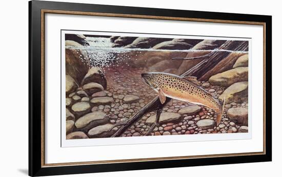 Big Brown Caught In The Open-Allen Friedman-Framed Limited Edition