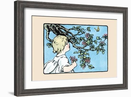 Big Butterfly-Julia Dyar Hardy-Framed Art Print