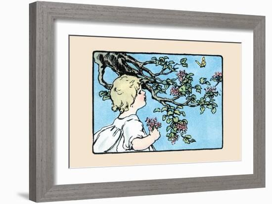 Big Butterfly-Julia Dyar Hardy-Framed Art Print