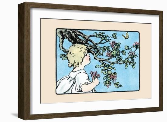 Big Butterfly-Julia Dyar Hardy-Framed Art Print