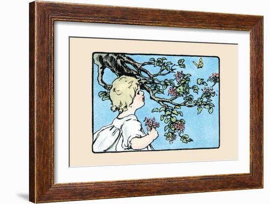 Big Butterfly-Julia Dyar Hardy-Framed Art Print