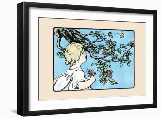 Big Butterfly-Julia Dyar Hardy-Framed Art Print