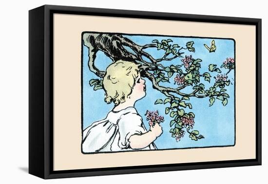 Big Butterfly-Julia Dyar Hardy-Framed Stretched Canvas