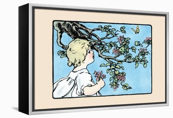 Big Butterfly-Julia Dyar Hardy-Framed Stretched Canvas