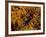 Big Carp River, Porcupine State Park, Michigan, USA-Chuck Haney-Framed Photographic Print