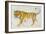 Big Cat II-Albena Hristova-Framed Art Print