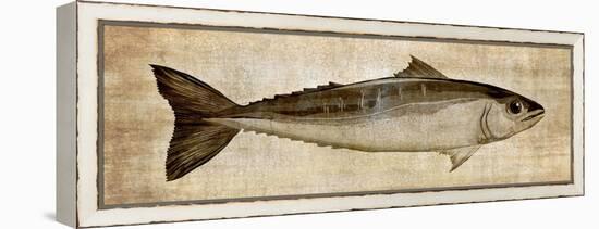 Big Catch I-Conrad Knutsen-Framed Stretched Canvas