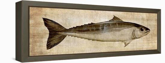 Big Catch I-Conrad Knutsen-Framed Stretched Canvas