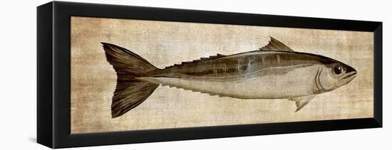 Big Catch I-Conrad Knutsen-Framed Stretched Canvas