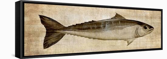 Big Catch I-Conrad Knutsen-Framed Stretched Canvas