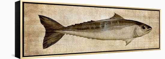 Big Catch I-Conrad Knutsen-Framed Stretched Canvas