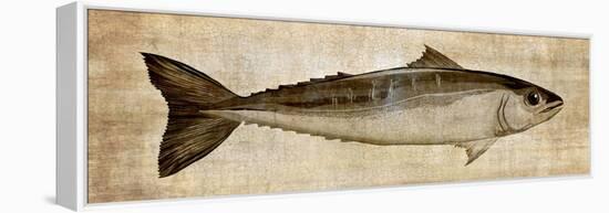 Big Catch I-Conrad Knutsen-Framed Stretched Canvas