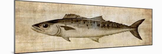 Big Catch II-Conrad Knutsen-Mounted Art Print