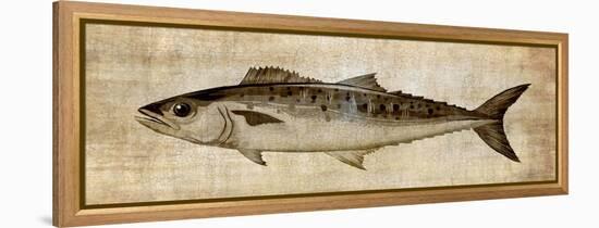 Big Catch II-Conrad Knutsen-Framed Stretched Canvas