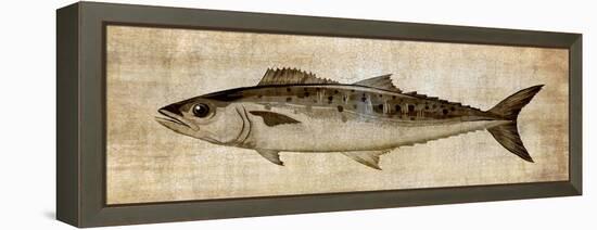 Big Catch II-Conrad Knutsen-Framed Stretched Canvas