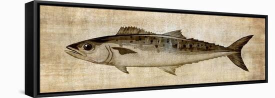 Big Catch II-Conrad Knutsen-Framed Stretched Canvas