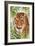 Big Cats 1-Kimberly Allen-Framed Art Print