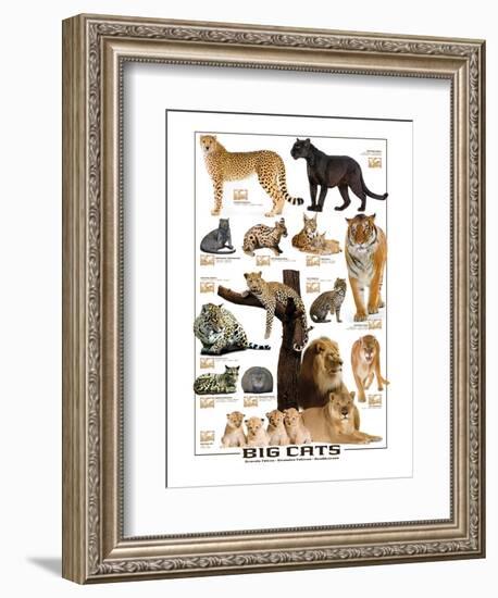Big Cats-null-Framed Premium Giclee Print