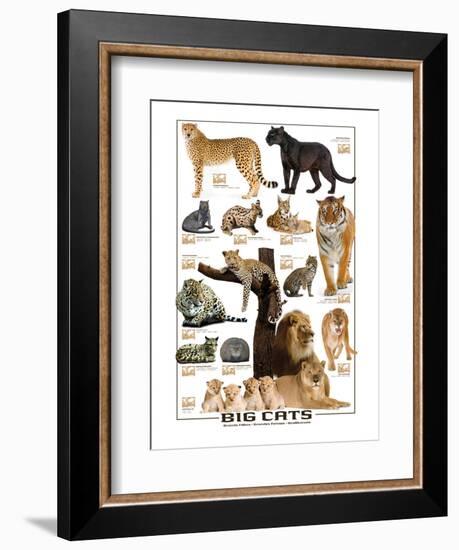 Big Cats-null-Framed Premium Giclee Print