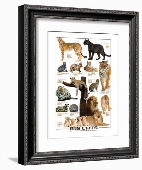 Big Cats-null-Framed Premium Giclee Print