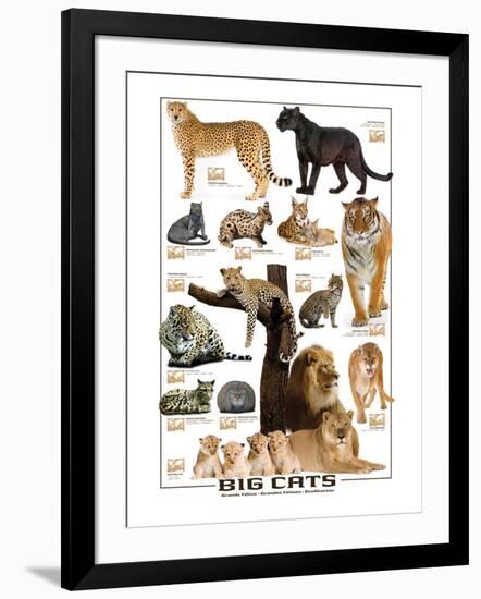 Big Cats-null-Framed Art Print