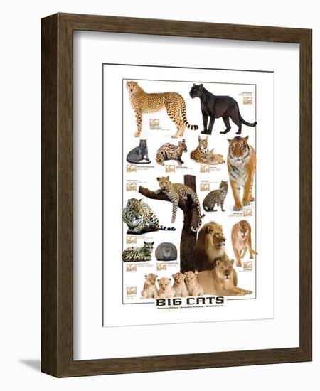 Big Cats-null-Framed Art Print