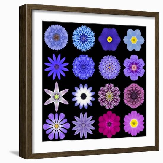 Big Collection of Various Blue Pattern Flowers-tr3gi-Framed Art Print