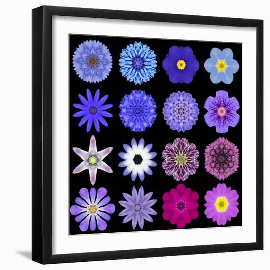 Big Collection of Various Blue Pattern Flowers-tr3gi-Framed Art Print