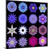 Big Collection of Various Blue Pattern Flowers-tr3gi-Mounted Art Print