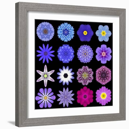 Big Collection of Various Blue Pattern Flowers-tr3gi-Framed Premium Giclee Print