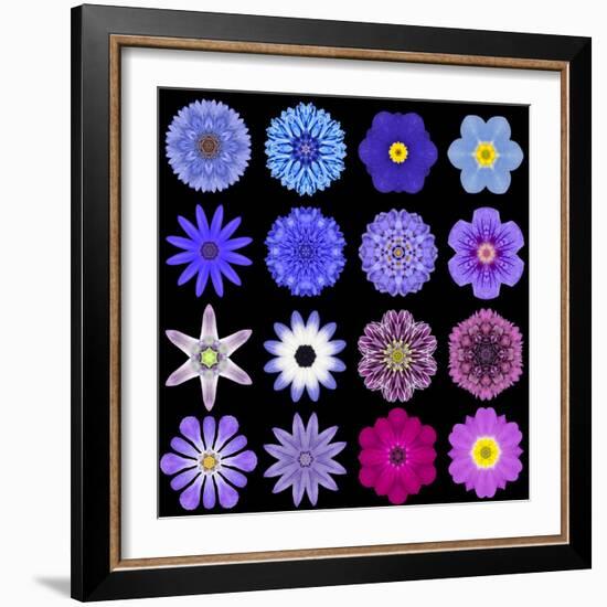 Big Collection of Various Blue Pattern Flowers-tr3gi-Framed Premium Giclee Print