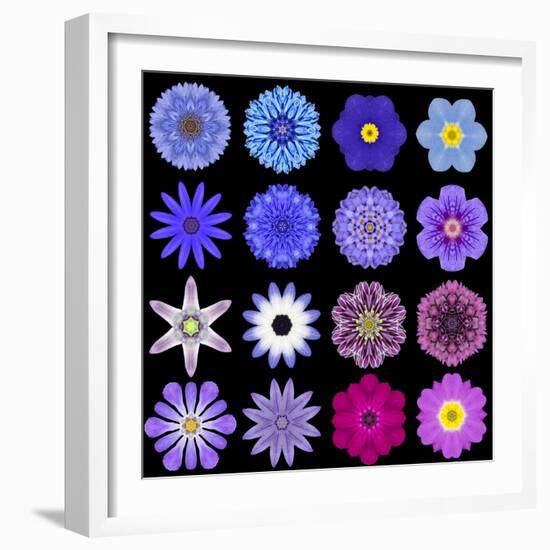 Big Collection of Various Blue Pattern Flowers-tr3gi-Framed Premium Giclee Print