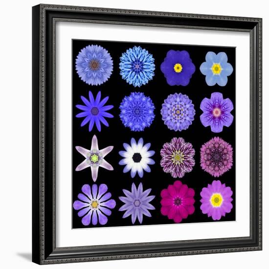 Big Collection of Various Blue Pattern Flowers-tr3gi-Framed Premium Giclee Print
