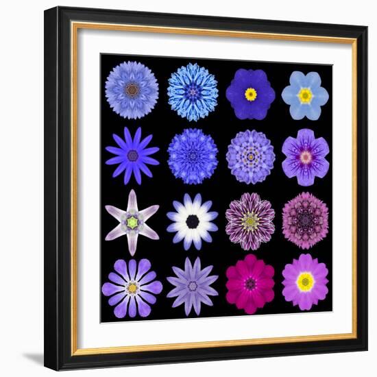 Big Collection of Various Blue Pattern Flowers-tr3gi-Framed Premium Giclee Print
