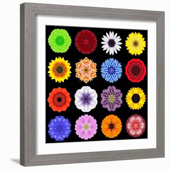 Big Collection of Various Colorful Pattern Flowers-tr3gi-Framed Art Print