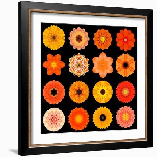 Big Collection of Various Orange Pattern Flowers-tr3gi-Framed Art Print