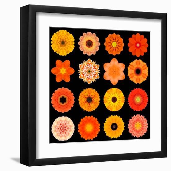 Big Collection of Various Orange Pattern Flowers-tr3gi-Framed Art Print