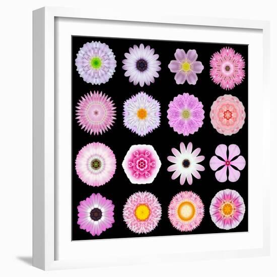 Big Collection of Various Pink Pattern Flowers-tr3gi-Framed Premium Giclee Print